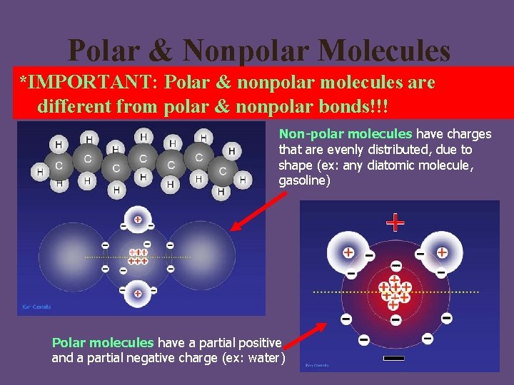 Polar & Nonpolar Molecules *IMPORTANT: Polar & nonpolar molecules are different from polar &