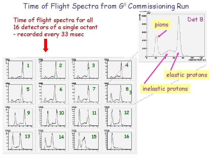 Time of Flight Spectra from G 0 Commissioning Run Time of flight spectra for