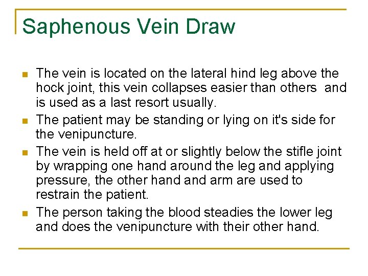 Saphenous Vein Draw n n The vein is located on the lateral hind leg