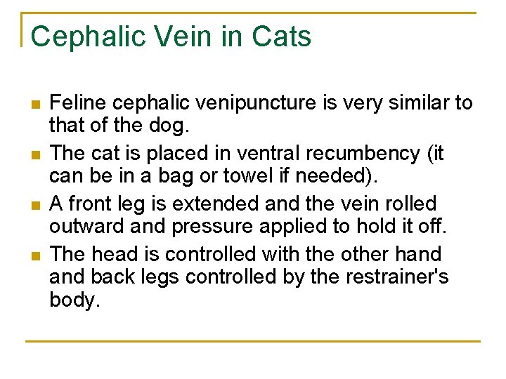 Cephalic Vein in Cats n n Feline cephalic venipuncture is very similar to that