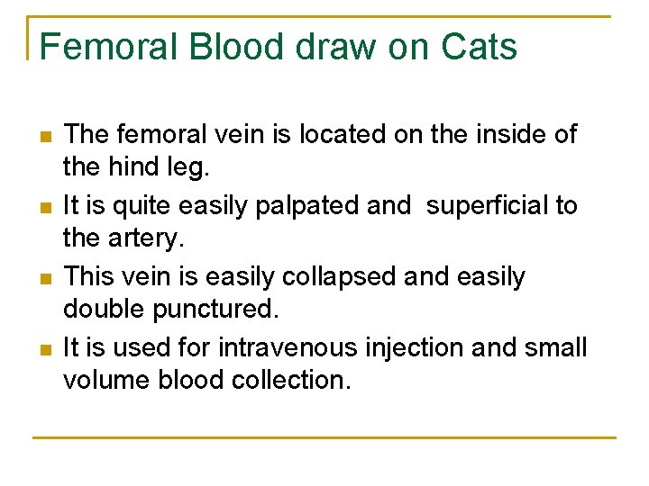 Femoral Blood draw on Cats n n The femoral vein is located on the