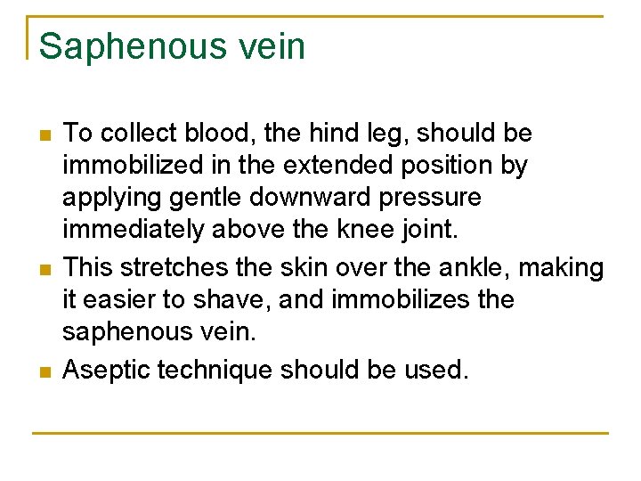 Saphenous vein n To collect blood, the hind leg, should be immobilized in the