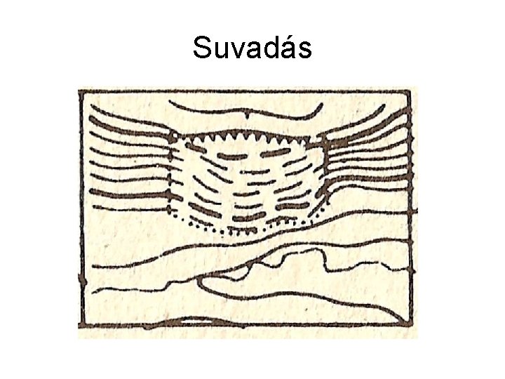 Suvadás 