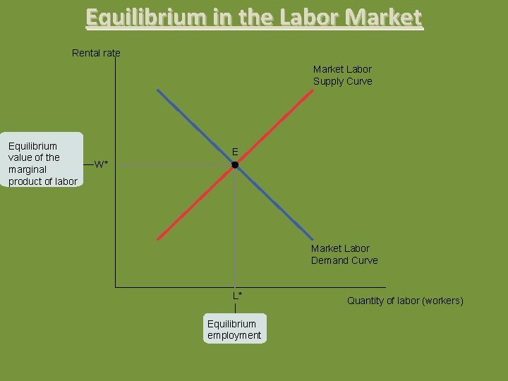 Equilibrium in the Labor Market Rental rate Market Labor Supply Curve Equilibrium value of