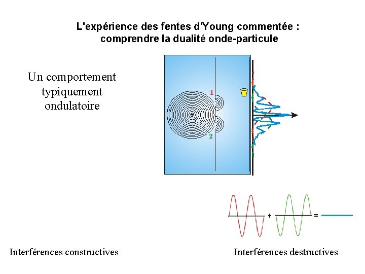 L'expérience des fentes d'Young commentée : comprendre la dualité onde-particule Un comportement typiquement ondulatoire
