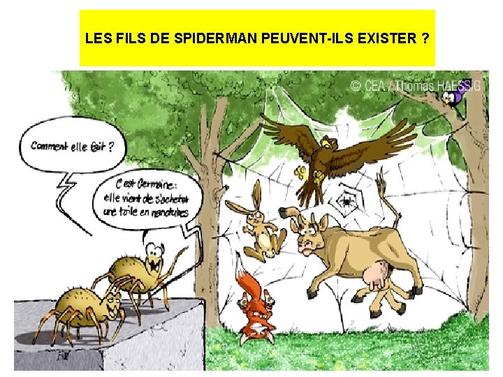 LES FILS DE SPIDERMAN PEUVENT-ILS EXISTER ? 