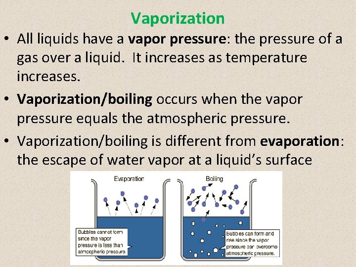 Vaporization • All liquids have a vapor pressure: the pressure of a gas over