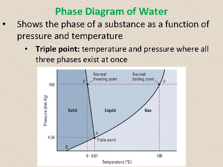 Phase Diagram of Water • Shows the phase of a substance as a function