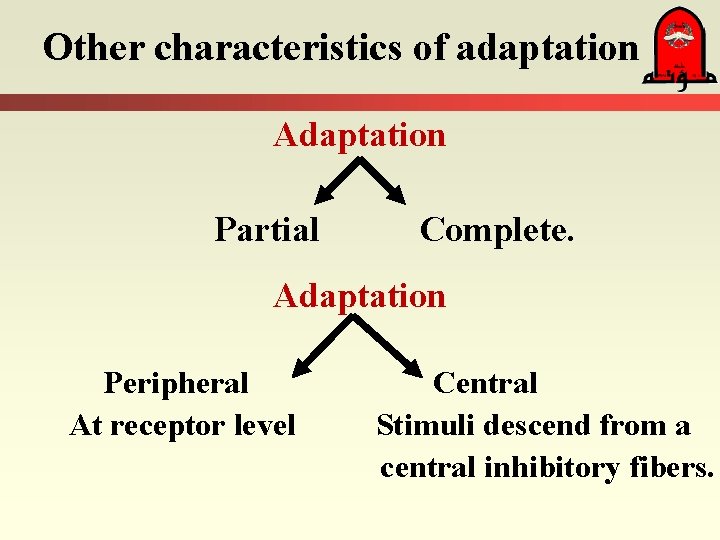 Other characteristics of adaptation Adaptation Partial Complete. Adaptation Peripheral At receptor level Central Stimuli