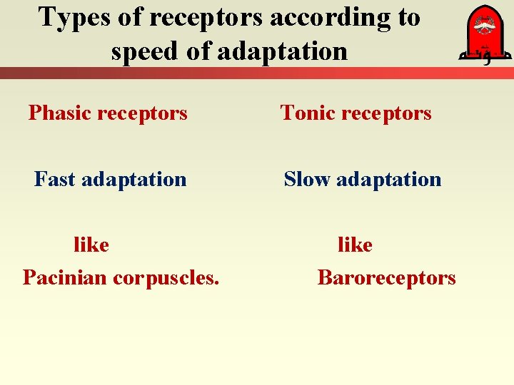 Types of receptors according to speed of adaptation Phasic receptors Tonic receptors Fast adaptation