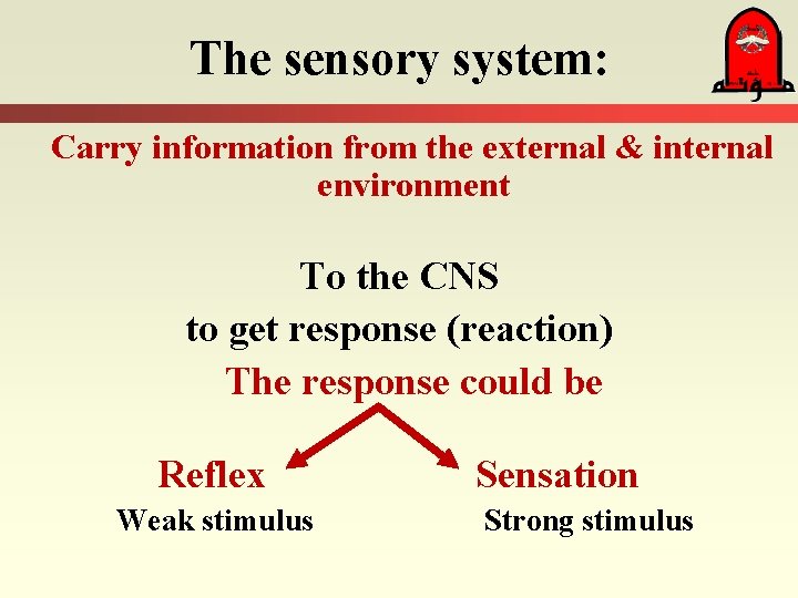 The sensory system: Carry information from the external & internal environment To the CNS
