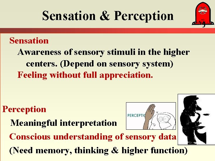 Sensation & Perception Sensation Awareness of sensory stimuli in the higher centers. (Depend on