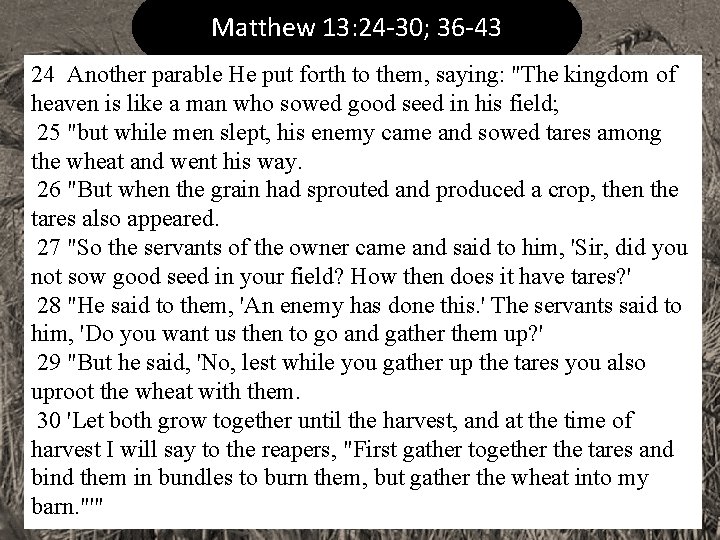 Matthew 13: 24 -30; 36 -43 24 Another parable He put forth to them,