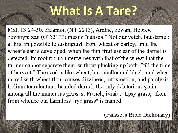 What Is A Tare? Matt 13: 24 -30. Zizanion (NT: 2215), Arabic, zowan, Hebrew