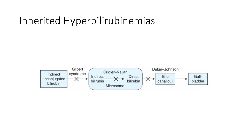 Inherited Hyperbilirubinemias 