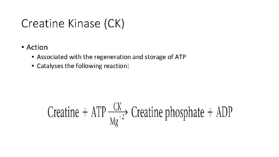 Creatine Kinase (CK) • Action • Associated with the regeneration and storage of ATP