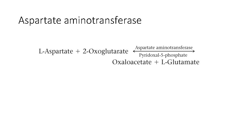 Aspartate aminotransferase 