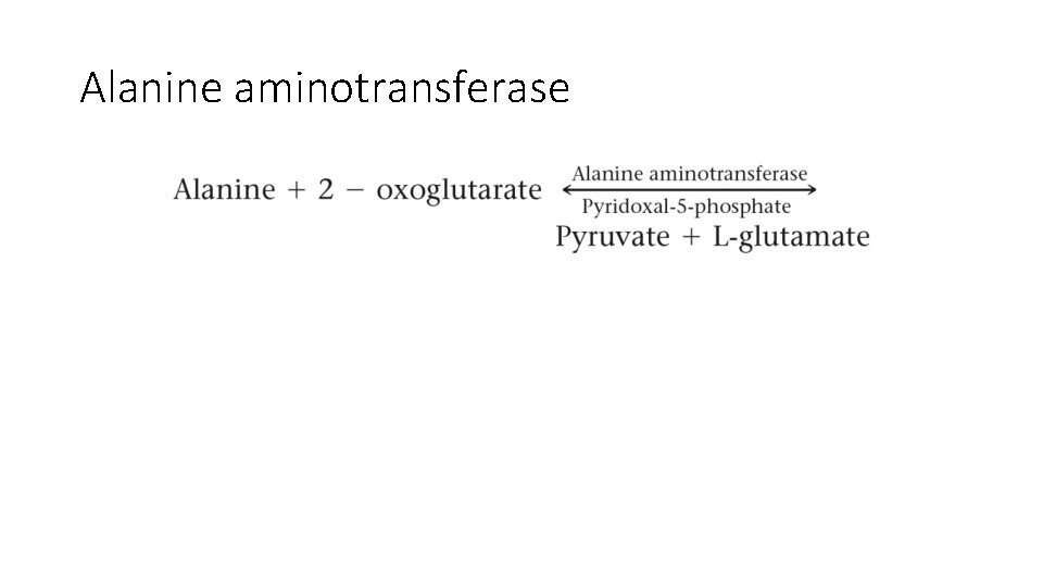 Alanine aminotransferase 