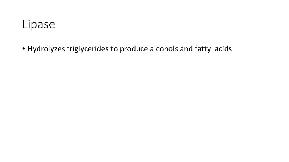 Lipase • Hydrolyzes triglycerides to produce alcohols and fatty acids 