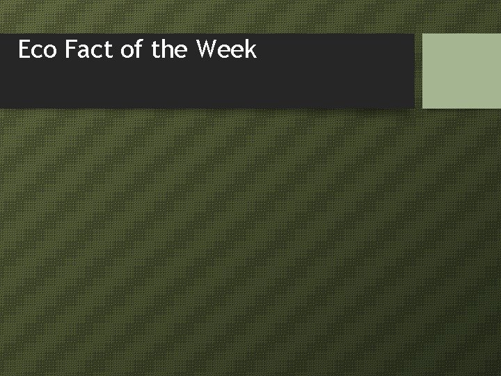 Eco Fact of the Week 