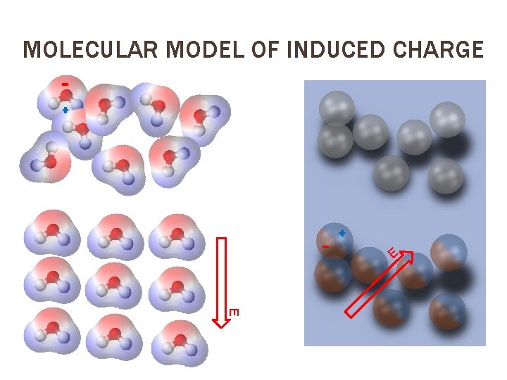 MOLECULAR MODEL OF INDUCED CHARGE E E 