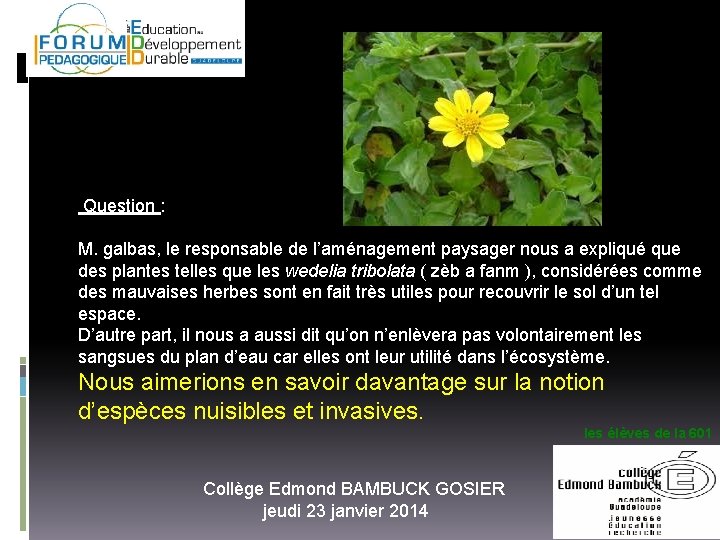 Question : M. galbas, le responsable de l’aménagement paysager nous a expliqué que des