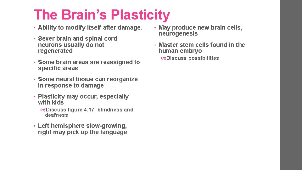 The Brain’s Plasticity • Ability to modify itself after damage. • • Sever brain