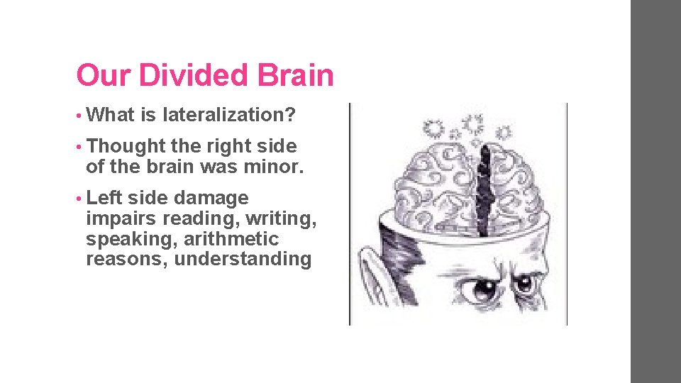 Our Divided Brain • What is lateralization? • Thought the right side of the