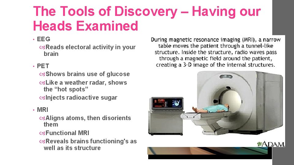 The Tools of Discovery – Having our Heads Examined • EEG Reads electoral activity