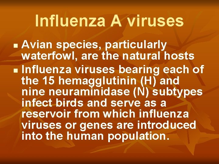 Influenza A viruses Avian species, particularly waterfowl, are the natural hosts n Influenza viruses