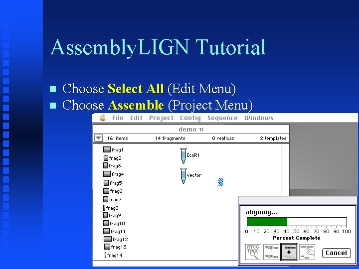 Assembly. LIGN Tutorial Choose Select All (Edit Menu) Choose Assemble (Project Menu) 