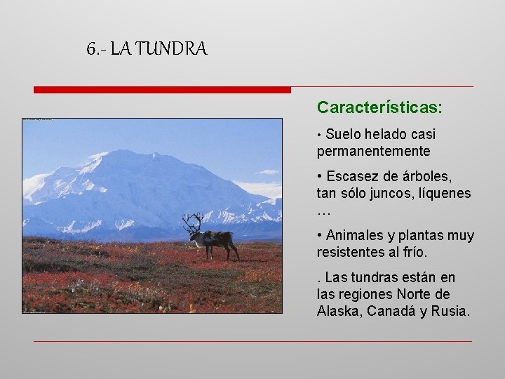 6. - LA TUNDRA Características: • Suelo helado casi permanentemente • Escasez de árboles,