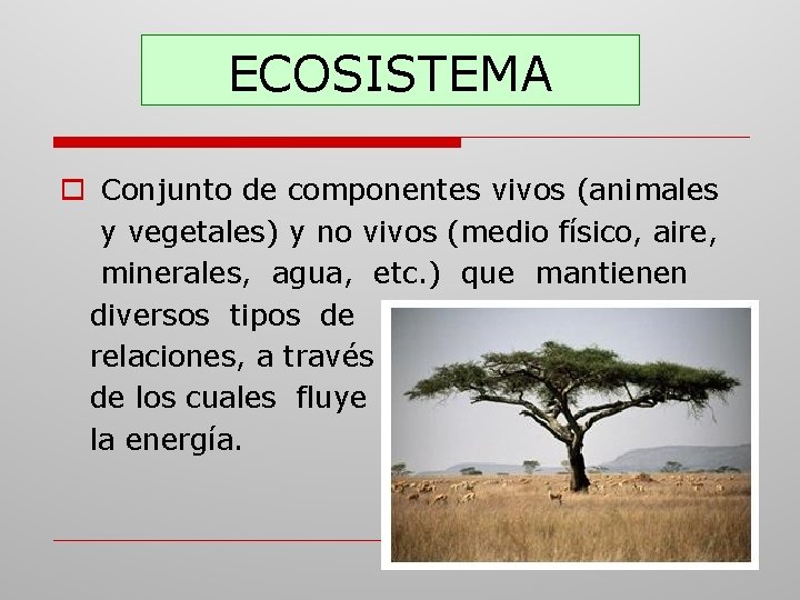 ECOSISTEMA o Conjunto de componentes vivos (animales y vegetales) y no vivos (medio físico,