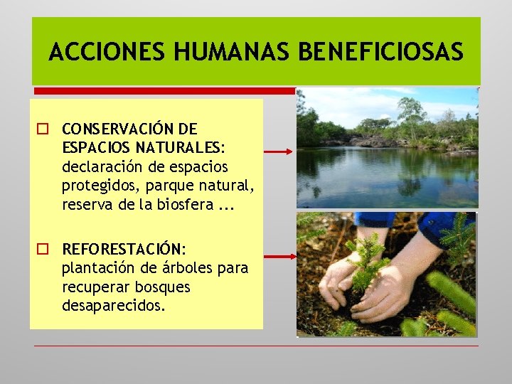 ACCIONES HUMANAS BENEFICIOSAS o CONSERVACIÓN DE ESPACIOS NATURALES: declaración de espacios protegidos, parque natural,