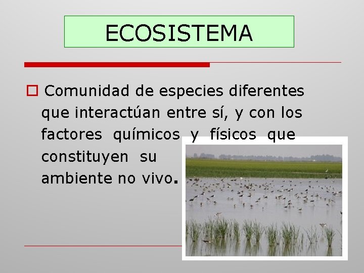 ECOSISTEMA o Comunidad de especies diferentes que interactúan entre sí, y con los factores