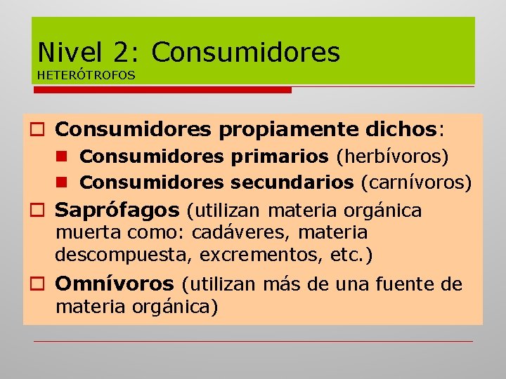 Nivel 2: Consumidores HETERÓTROFOS o Consumidores propiamente dichos: n Consumidores primarios (herbívoros) n Consumidores