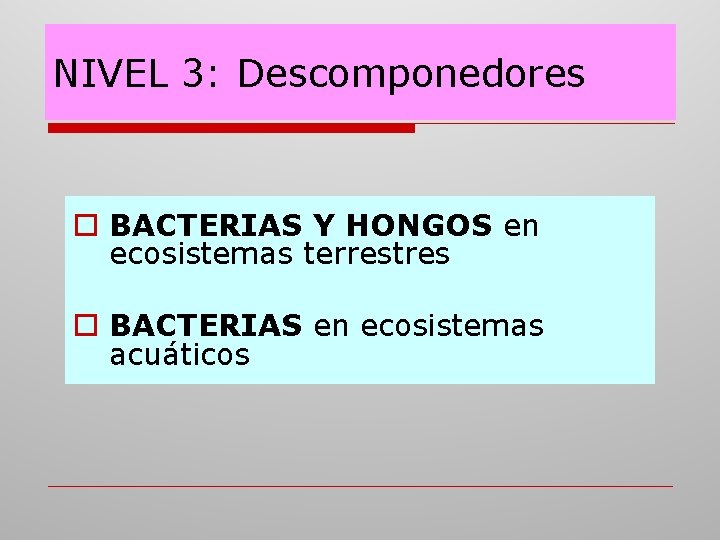NIVEL 3: Descomponedores o BACTERIAS Y HONGOS en ecosistemas terrestres o BACTERIAS en ecosistemas