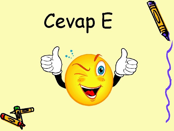 Cevap E 