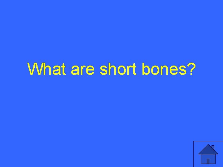 What are short bones? 10 