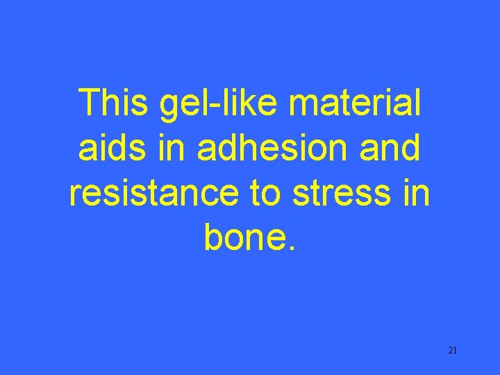 This gel-like material aids in adhesion and resistance to stress in bone. 21 