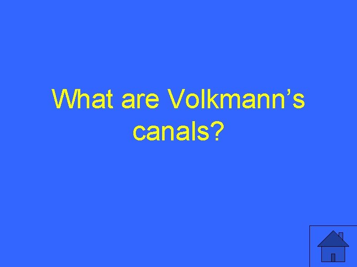 What are Volkmann’s canals? 24 