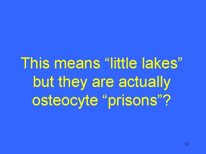 This means “little lakes” but they are actually osteocyte “prisons”? 32 