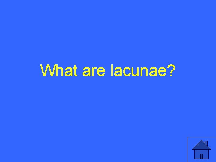 What are lacunae? 33 