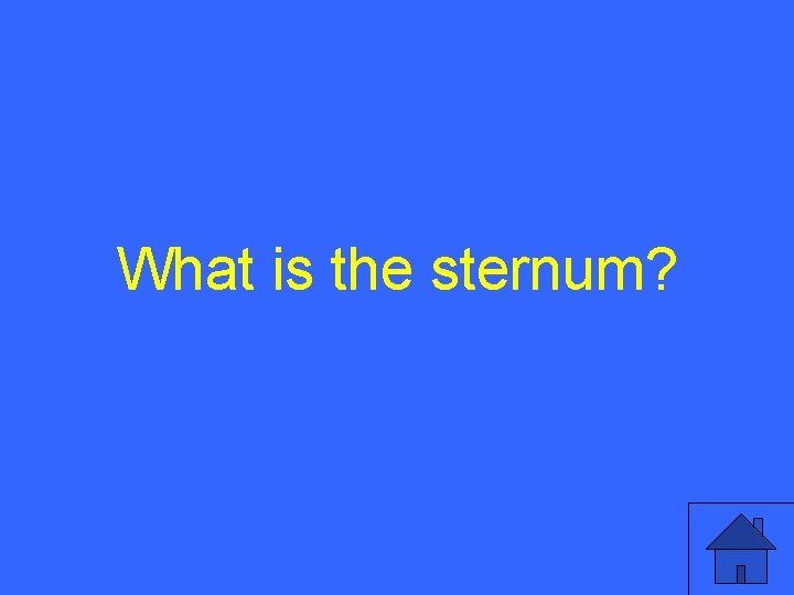 What is the sternum? 35 