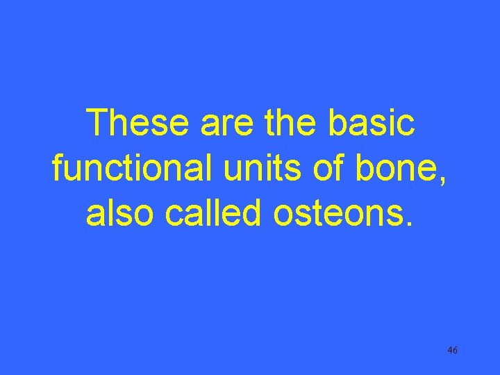 These are the basic functional units of bone, also called osteons. 46 