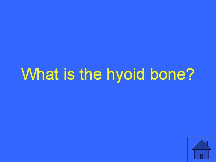 What is the hyoid bone? 49 