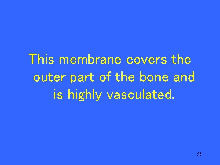 This membrane covers the outer part of the bone and is highly vasculated. 58