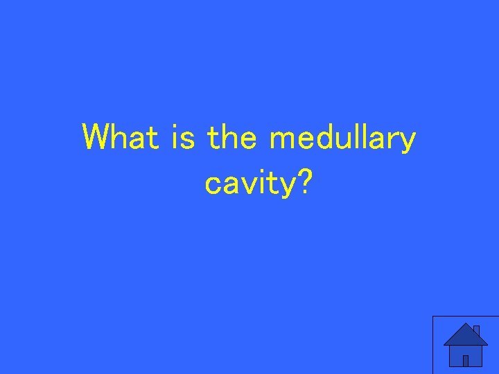 What is the medullary cavity? 61 