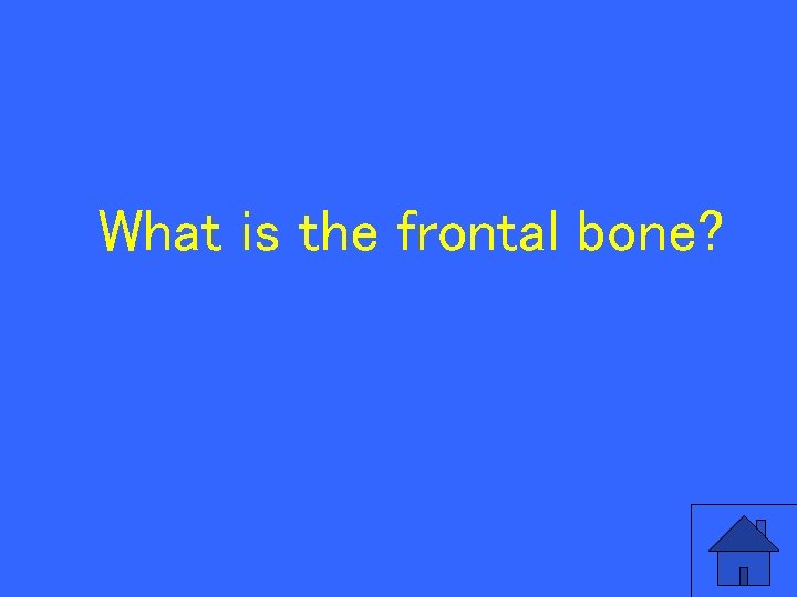 What is the frontal bone? 88 