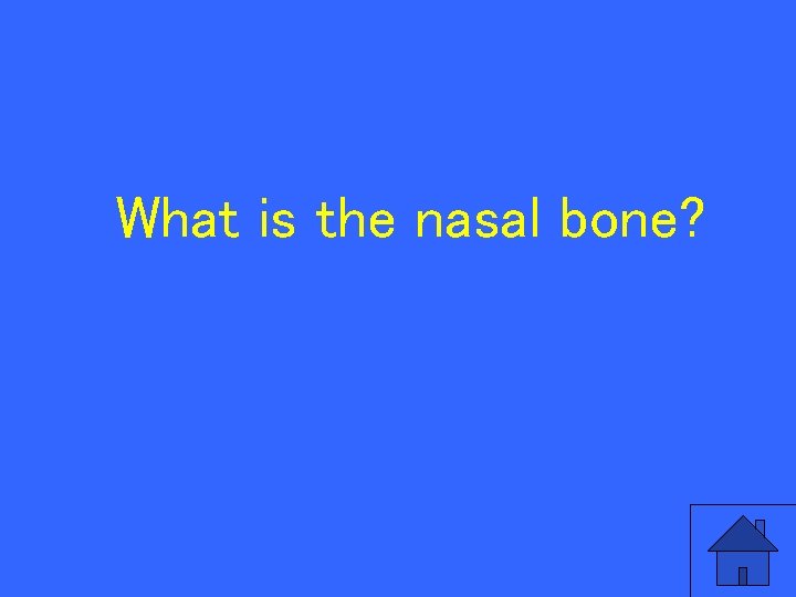 What is the nasal bone? 90 